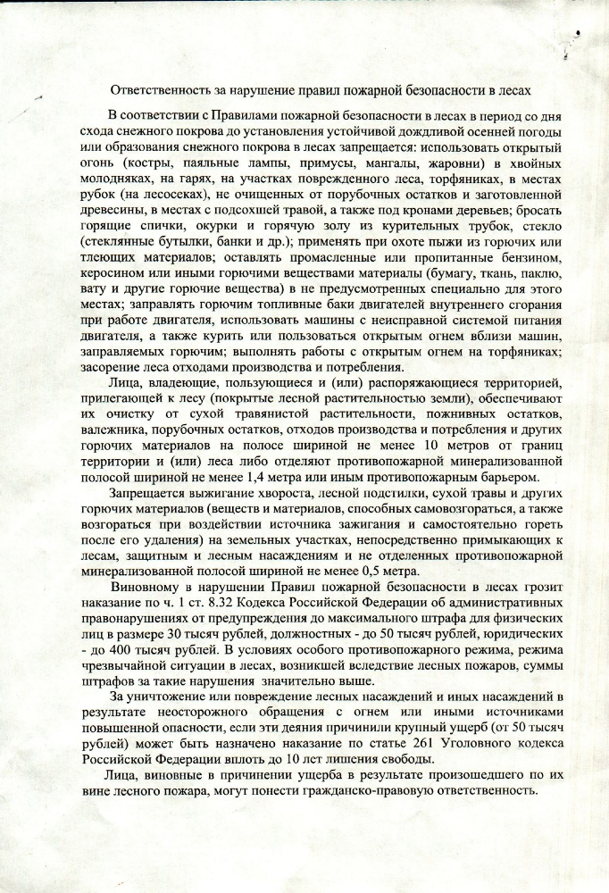 Ответственность за нарушение правил пожарной безопасности в лесах